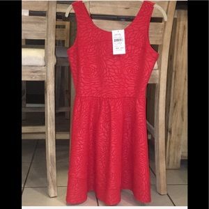 NWT Love, ady Red fit & flare Dress *L